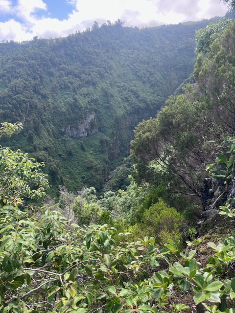 10 Ravine du Bras de Jeanne.jpeg