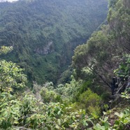 10 Ravine du Bras de Jeanne.jpeg