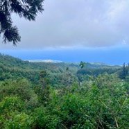 13. Sur la côte L'Etang-Salé-les-Bains.jpeg