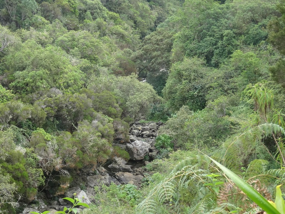Bras de Jeanne