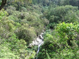 Au milieu coule une ravine IMG_0759