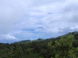 Paradis des papangues, oiseaux de proie. On peut en distinguer un, minuscule point un peu à droite du centre de l'image. IMG 0766