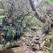 22. Bras du Malbar Mort.jpeg