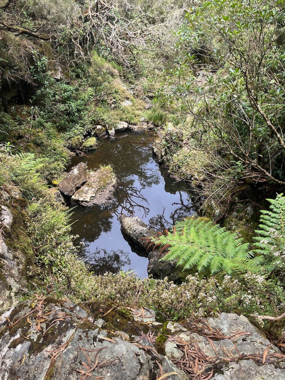 25. Cassé dans le bras du Malbar Mort.jpeg