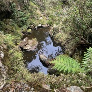 25. Cassé dans le bras du Malbar Mort.jpeg