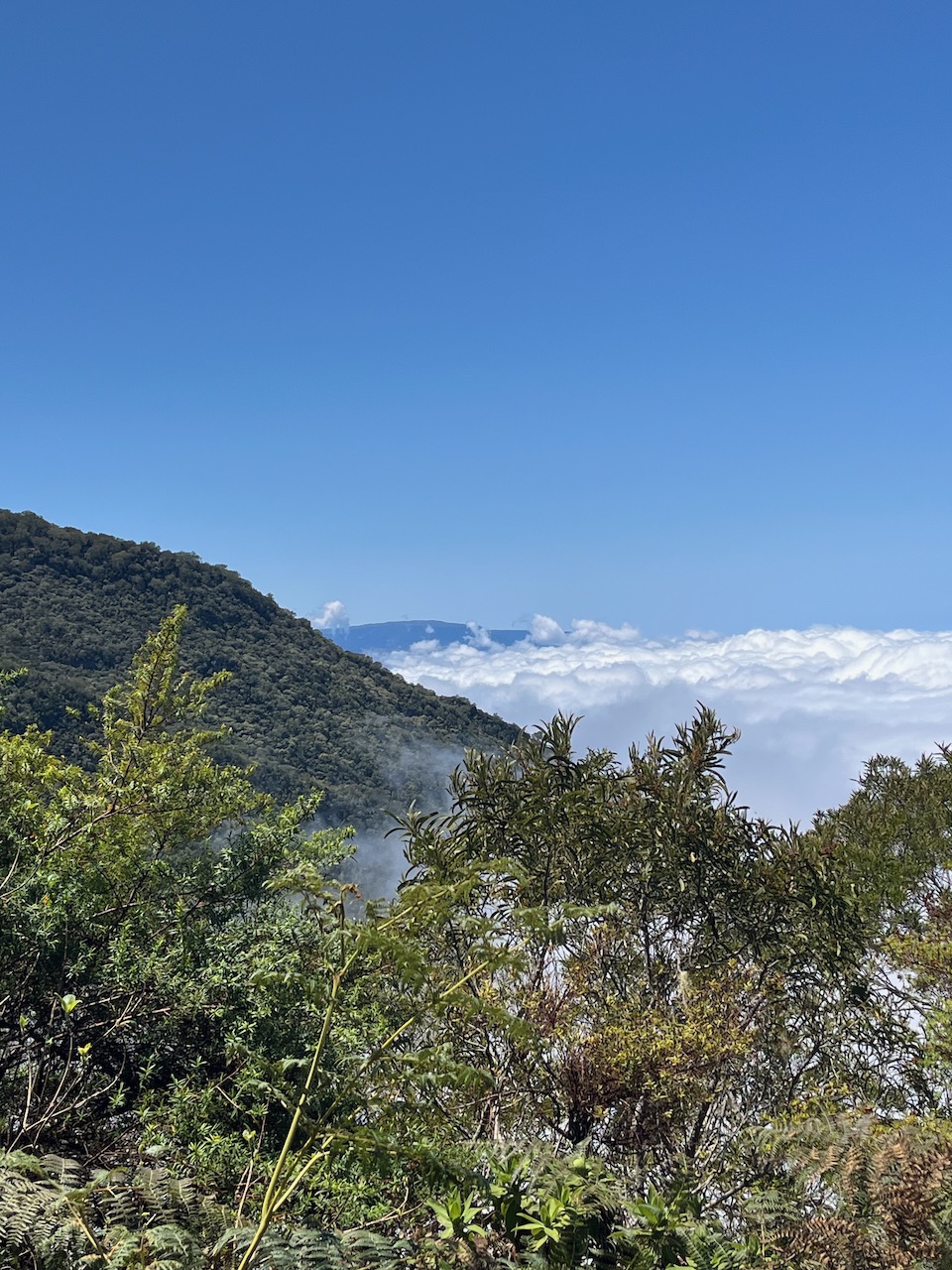 6. Vue en direction du Volcan.jpeg