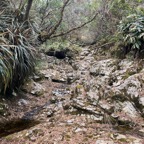 24. Traversée d'un bras de la Ravine du Malabar mort.jpeg