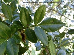 P1260215