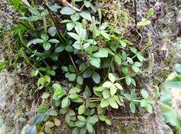 P1260494