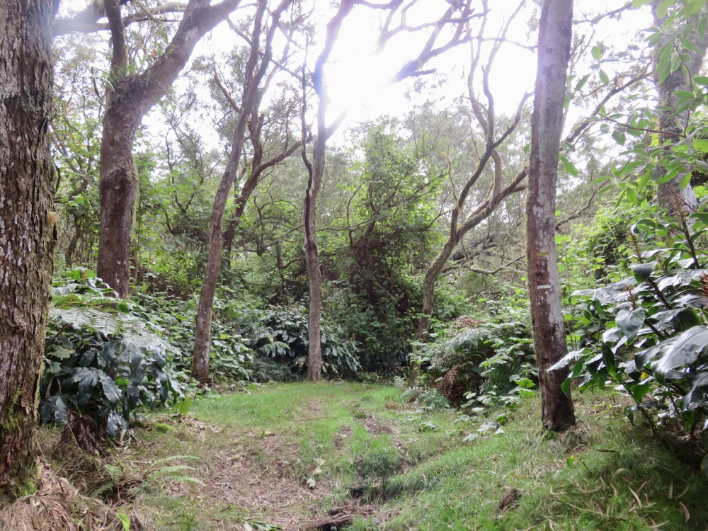 2. Début du sentier.jpeg