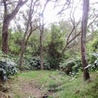 2. Début du sentier.jpeg