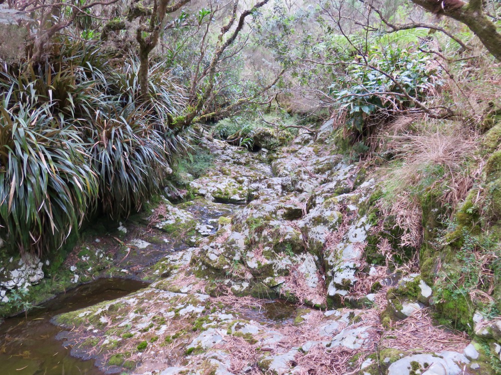 32. Ravine sans nom.jpeg
