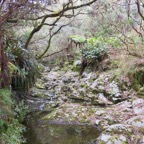 33. Ravine sans nom vers l'aval.jpeg