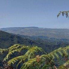 Depuis_la_crete_vue_sur_La_Plaine_des_Cafres-20250923_115533.jpg