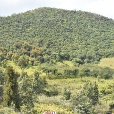 Sur_le_sentier_des_Canaux(Canots)-MB4_1790.jpg