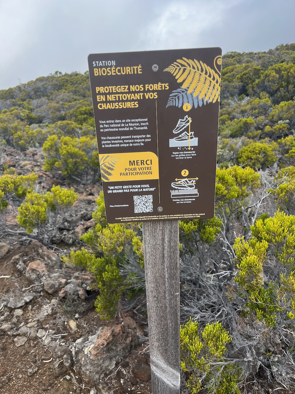 12. Station biosécurité