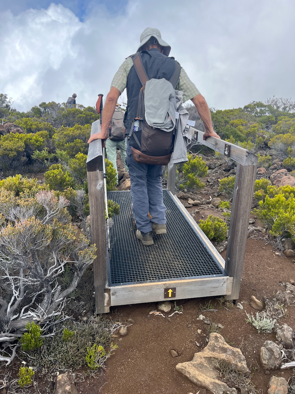 12b. Voir photo précédente