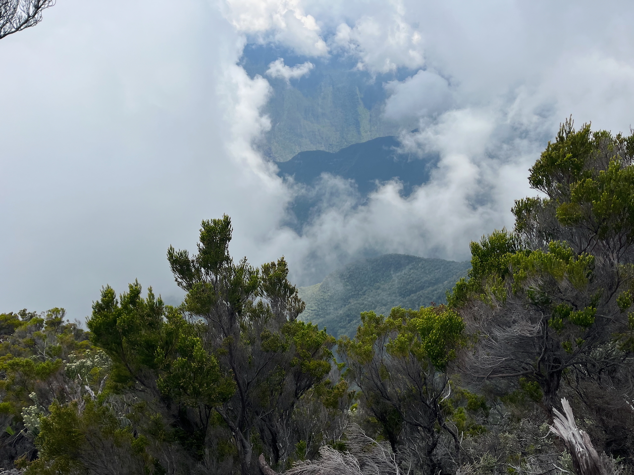 18. Lever de rideau très temporaire. En face, le ??? rempart ouest de la Rivière des Remparts