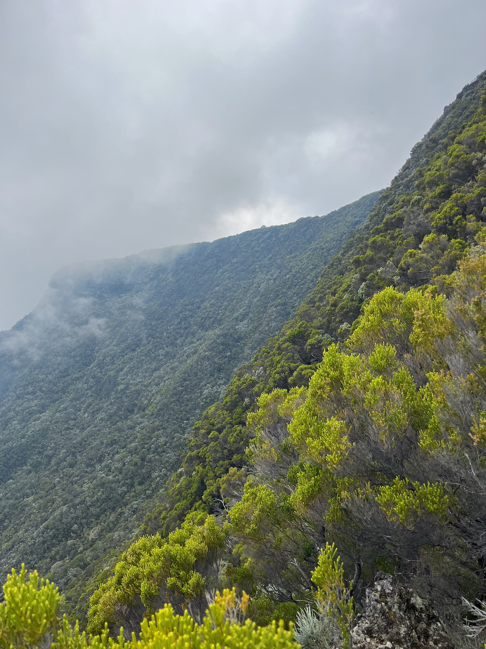 19. Lever de rideau très temporaire