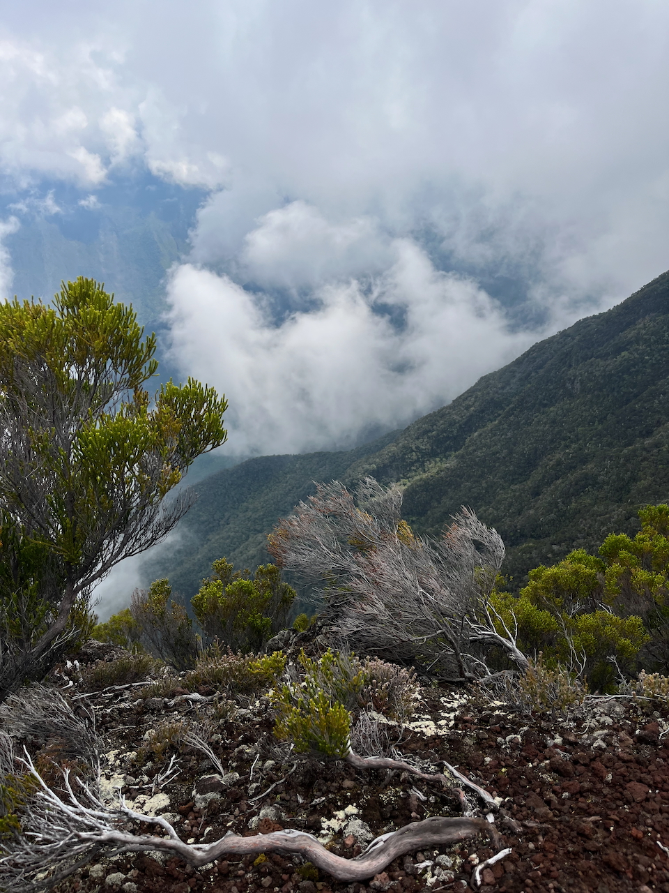 20. Lever de rideau très temopraire. En face, le ??? rempart ouest de la Rivière des Remparts