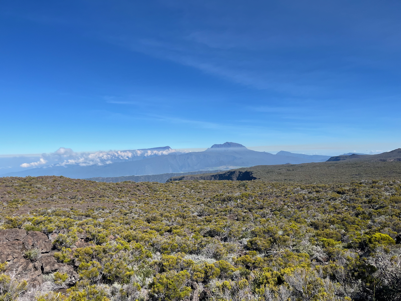 4. Végétation éricoïde au sud du Morne Langevin - vue vers le nord du Grand Bénare et le Piton des Neiges