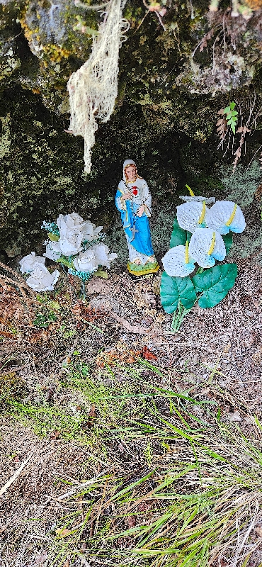 75 Je veille sur vous