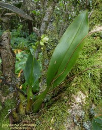P1030530