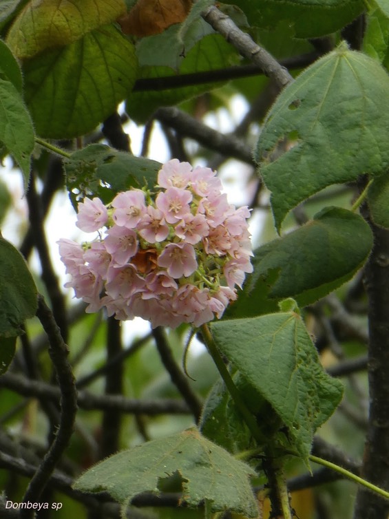 P1030568