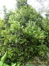 P1030602