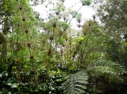 P1030688