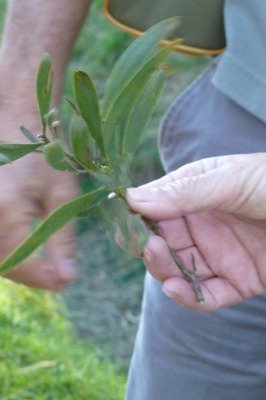 P1090903