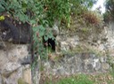 042 ancien four moulin kervéguen