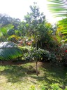 IMG 4574