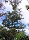 IMG 4575