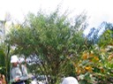 IMG 4576