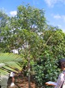 IMG 4577