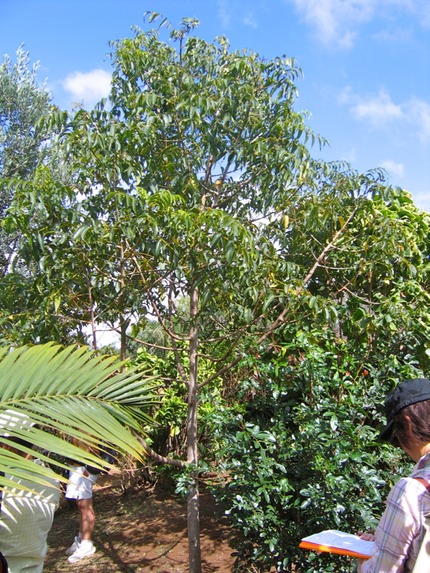 IMG 4577
