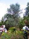 IMG 4578