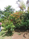 IMG 4580