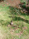 IMG 4581