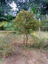 IMG 4582