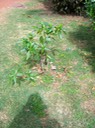 IMG 4583