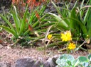 IMG 4584