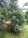 IMG 4587