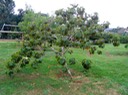 IMG 4588