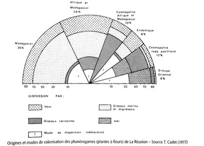 origines et modes de colonisation