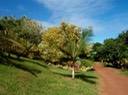 P1010004