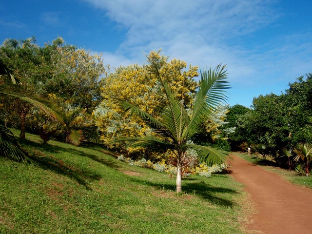 P1010004