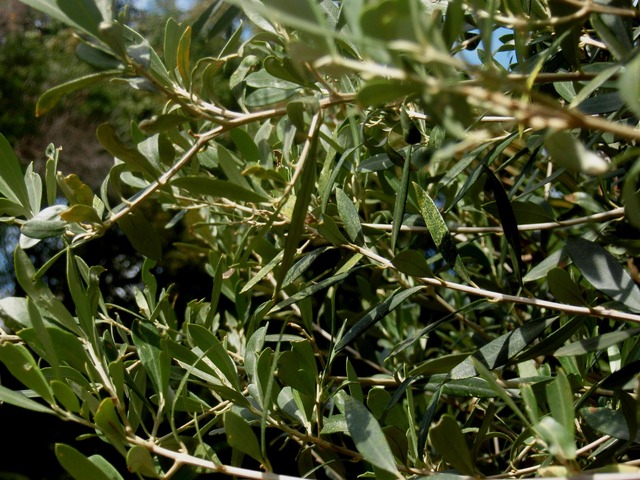 P1010015 02