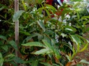 P1010021 01